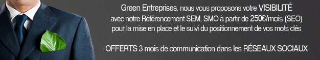 referencement green entreprise