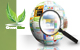 creation site web