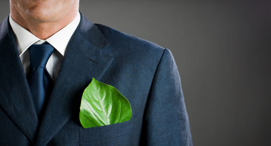 referencement green entreprises