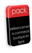 pack r&eacute;f&eacute;rencement e-commerce boutique en ligne