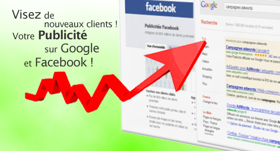 campagnes publicitaires Google Adwords Facebook