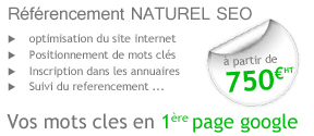 referencement naturel seo