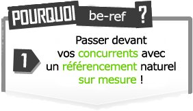 R&eacute;f&eacute;rencement naturel sur mesure
